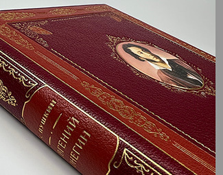 Новая книга Евгений Онегин. Роман в стихах